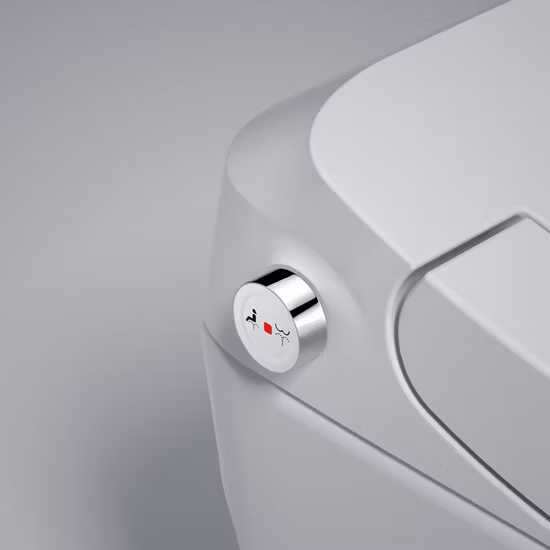 평면형 욕실 비데/지능형/전기 변기