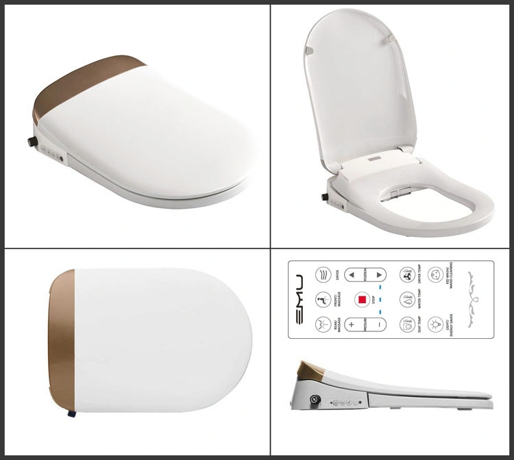 Luxury Feminine Wash Rear Wash Intelligent Smart Toilet Seat